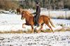 Caspar rider Ayla 4 år