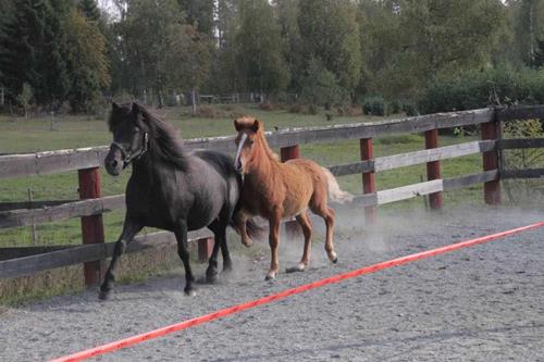 Vonadi f&ouml;lbed&ouml;mning